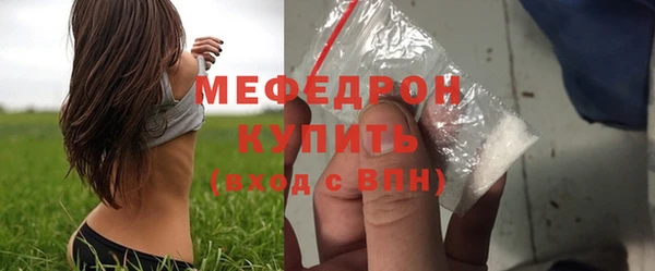 дмт Бородино
