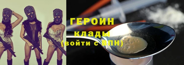 дмт Бородино