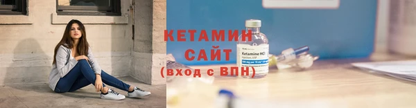 дмт Бородино