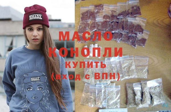 дмт Бородино