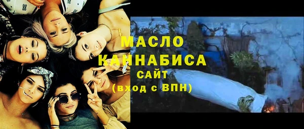 дмт Бородино